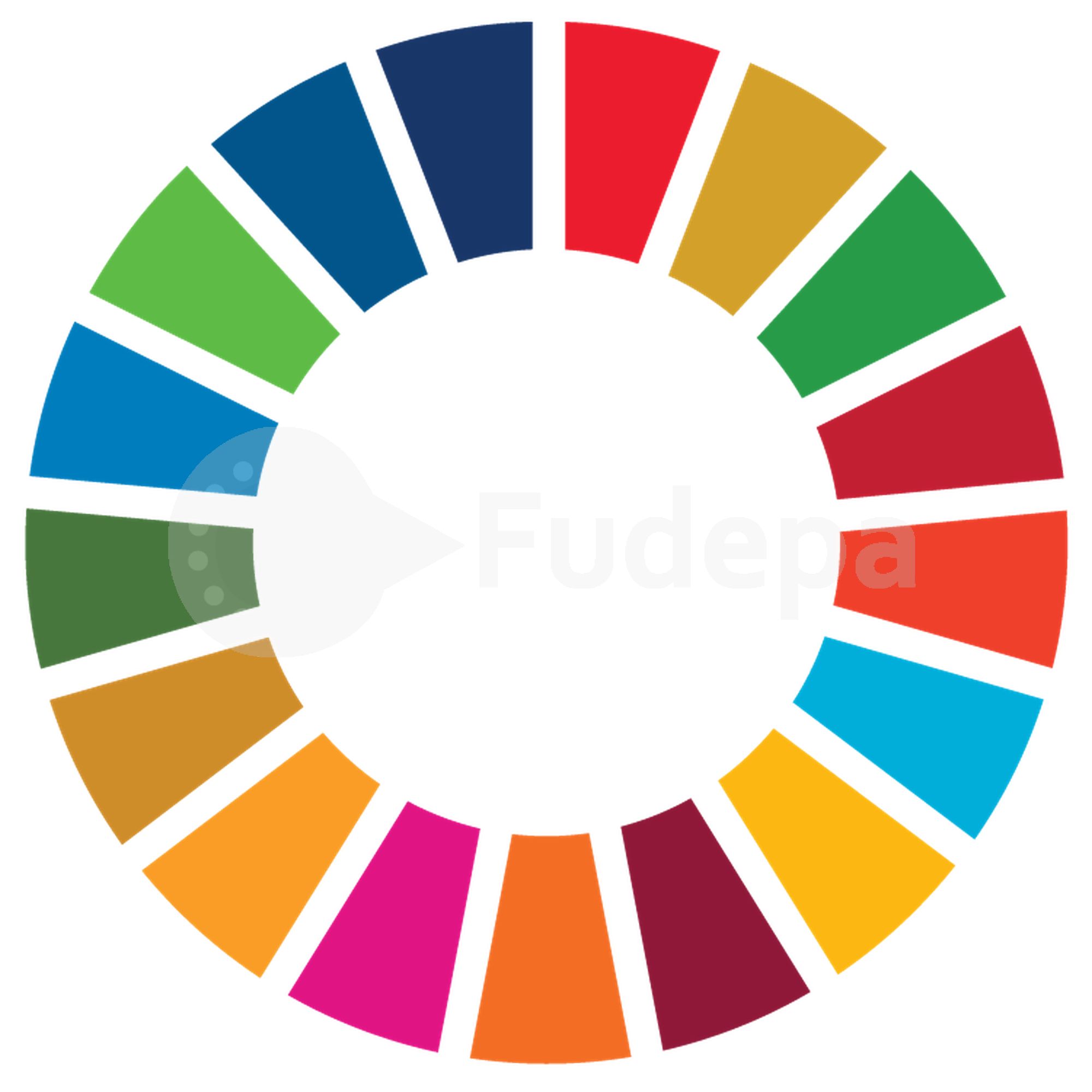 Fudepa se incorpora a la localización de la Agenda 2030