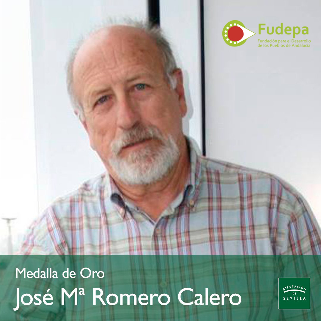 José María Romero Calero, patrono de Fudepa, ha recibido la Medalla de Oro de la Provincia, otorgada por la Diputación de Sevilla